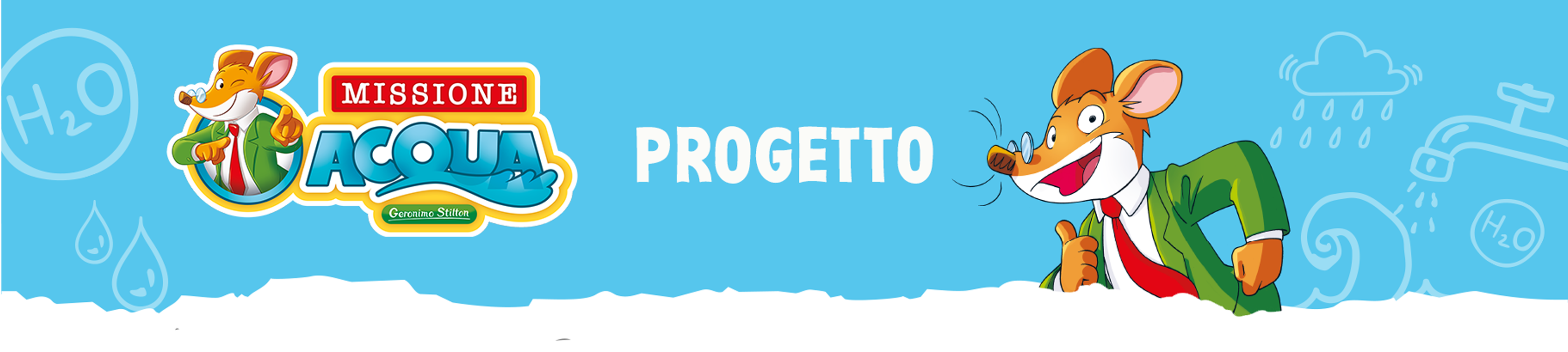 Il progetto